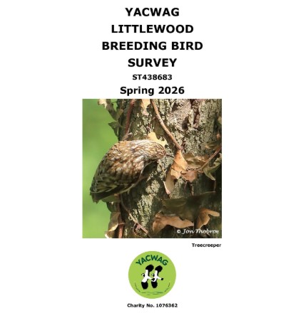 front cover of a survey report showing a brown bird on trunk of a tree and text explaining the report