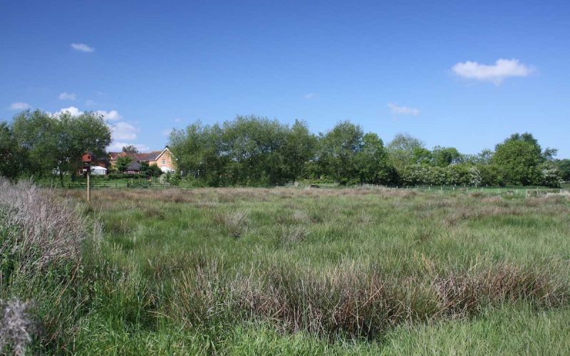 Field with a barn owl box on a long pole against blue sky with houses seen in background