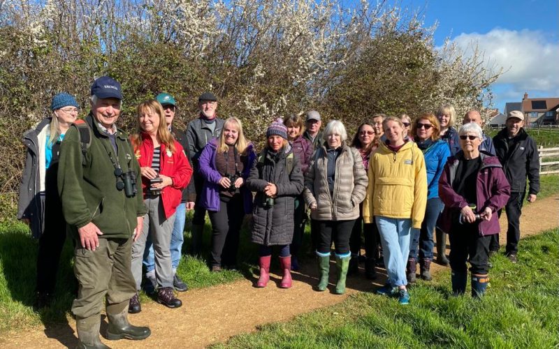 Number of people outside going on an early morning bird walk
